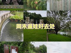 -四海公园(南山区)