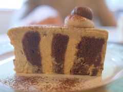 -竹子咖啡bamboo coffee