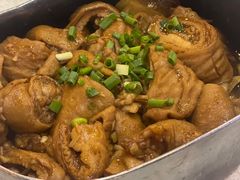 饭盒焖肥肠-渔娘渔家丹东海鲜(东直门店)