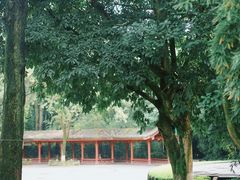 -望江楼公园