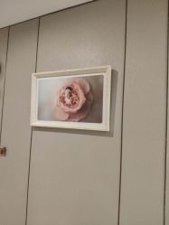 -大美母婴月子中心(虹桥店)