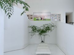 -罗红摄影艺术馆