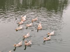 -东钱湖小普陀景区