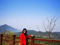 -武陵山森林公园