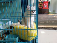 -M.S拳击泰拳馆(大学路店)