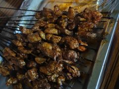 羊肉串-尕胡才炕锅烤羊肉馆(八一路店)