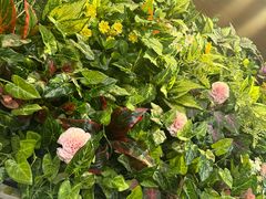 -雕刻时光咖啡馆(北师大店)