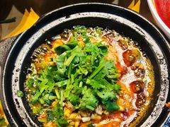 砂锅脑花-二孃鸡爪爪(东风路总店)