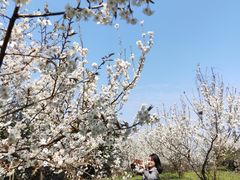 -三峡国际房车露营地(G348店)