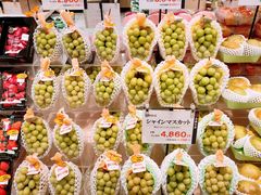 -阪急百货店(梅田总店)