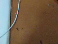 -红鼎坊·老成都火锅(新南门店)