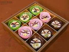 -苏州东山雕花楼宾馆