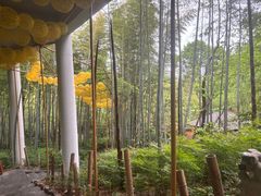 -天目湖涵田半山温泉水乐园