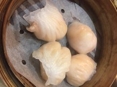 -添好运点心专门店(北角店)