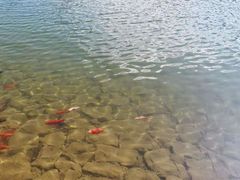 -蝴蝶泉公园