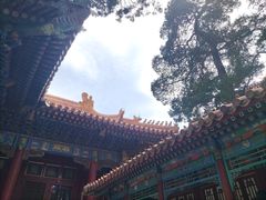 -故宫博物院(故宫)