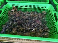 -众味海鲜大排档·活海鲜·潮汕味(南澳店)