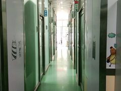 -东方动物医院·宠保定点·骨科·转诊中心(春城路·昆明站分院)