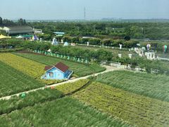 -广州花之恋城堡酒店