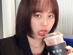 -野萃山·潮汕厚果汁(十亩地店)