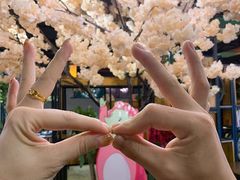 -甲大帅·甲鱼·椰子鸡主题餐厅(唐家店)