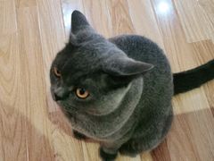 -壹人壹像工作室(购物公园店)