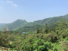 -木兰云雾山
