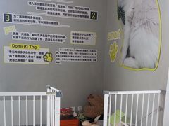 -上海浦东smart汽车全功能店(金桥店)