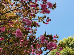 -南京市江宁方山