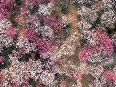 -西溪国家湿地公园