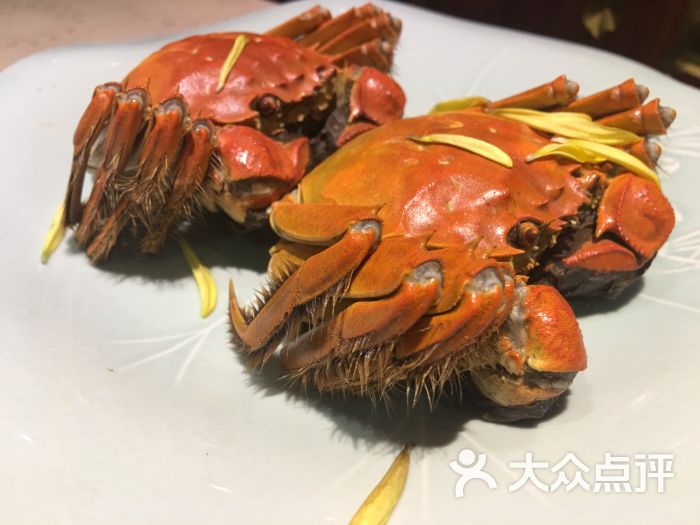 成隆行精选大闸蟹