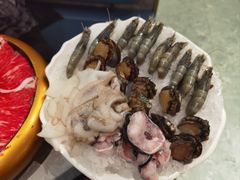 -一绪に寿喜烧(虹悦城店)
