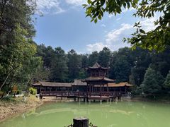 -铁山坪森林公园