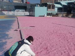 -大连圣亚海洋世界