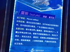 -多彩贵州城极地海洋世界