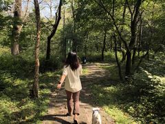 -玉渡山自然风景区