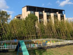 -上海崇明金茂凯悦酒店