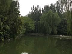 -西安市长乐公园