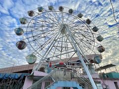 -广东花都香草世界旅游度假区