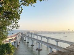 -星海湾跨海大桥