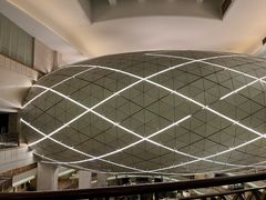 -上海大酒店(南京东路店)