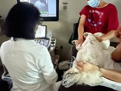 -美联众合动物医院·24h转诊中心