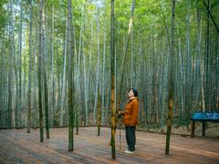 -南京市无想山景区