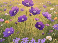 -闪电修企业手机电脑回收(西湖风景名胜区店)