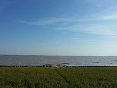 android_upload_pic-南汇嘴观海公园