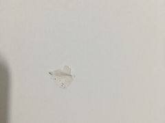 -中沪红马赢装潢设计(宝山店)