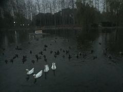 -中家鑫园温泉酒店鑫悦汤泉