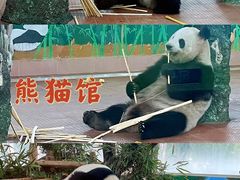 -广州动物园