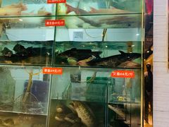 -万和源炝锅城·活鱼现炝(文艺北路店)
