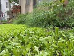 -江苏省黄埭中学